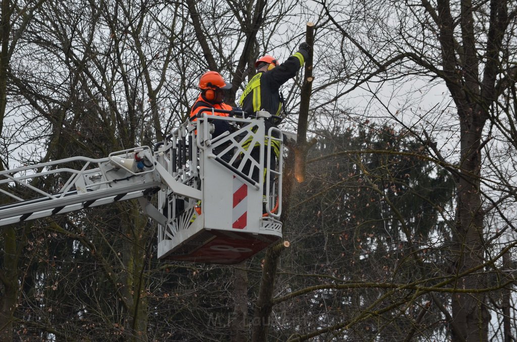 Einsatz BF Baum Koeln Vingst Vingster Ring P42.JPG - Miklos Laubert